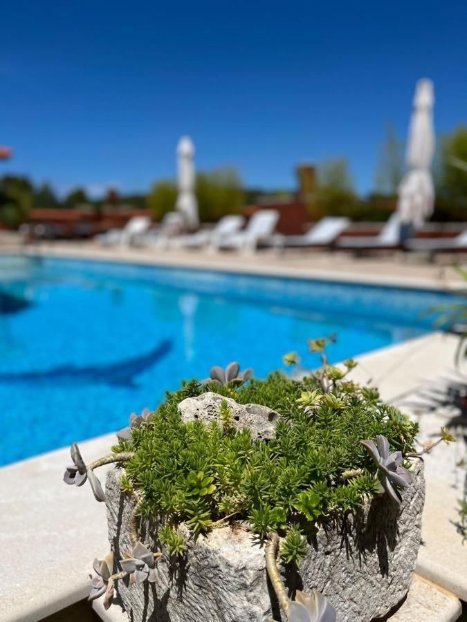 Apartamento Gorana Apartman With Swimming Pool Jelsa  Exterior foto